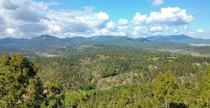 Els orígens de la Guerra dels Segadors a la Selva (1)